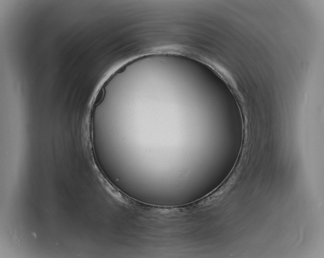 X0000115840816200911201551