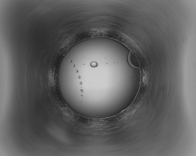 X0000115840819200911201551