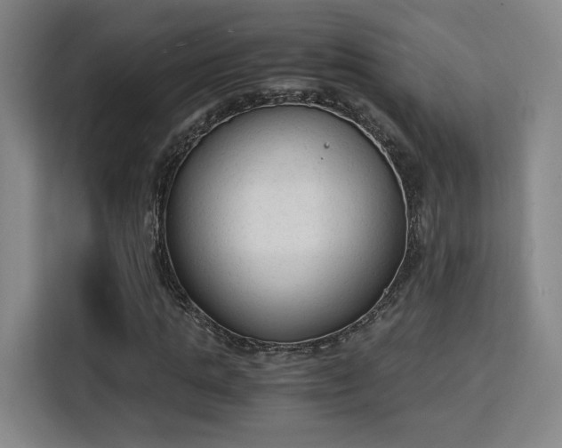 X0000115840821200911201551