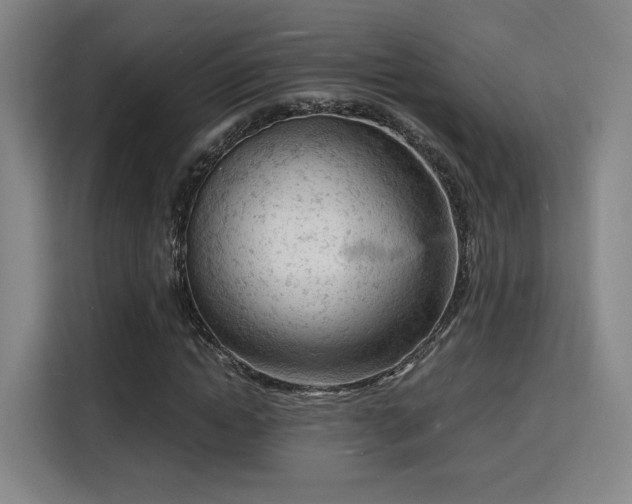 X0000115840822200911201551