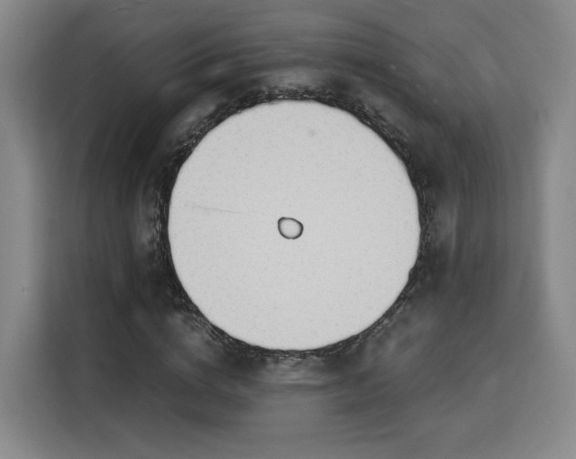 X0000115840824200911201551