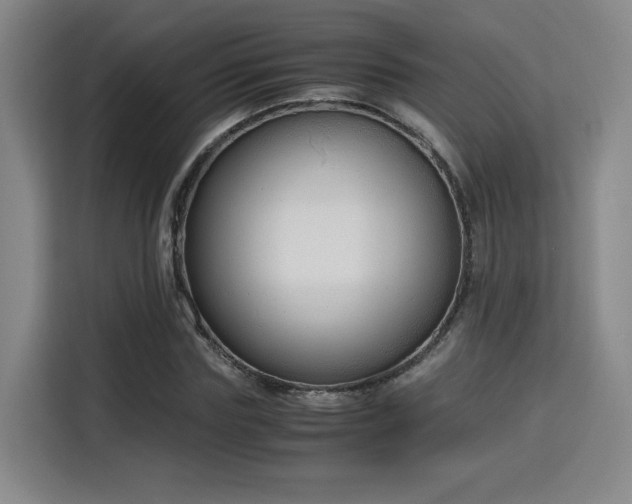 X0000115840827200911201551