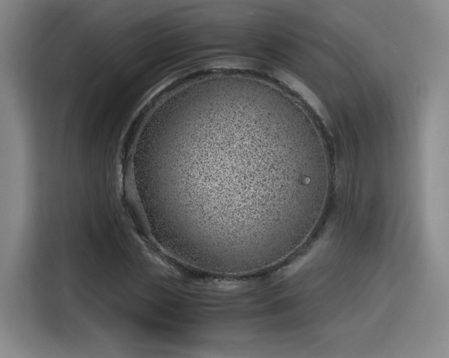 X0000115840829200911201551