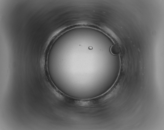 X0000115840831200911201551