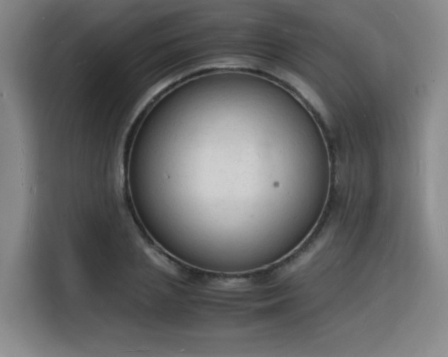 X0000115840837200911201551
