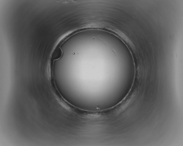 X0000115840838200911201551