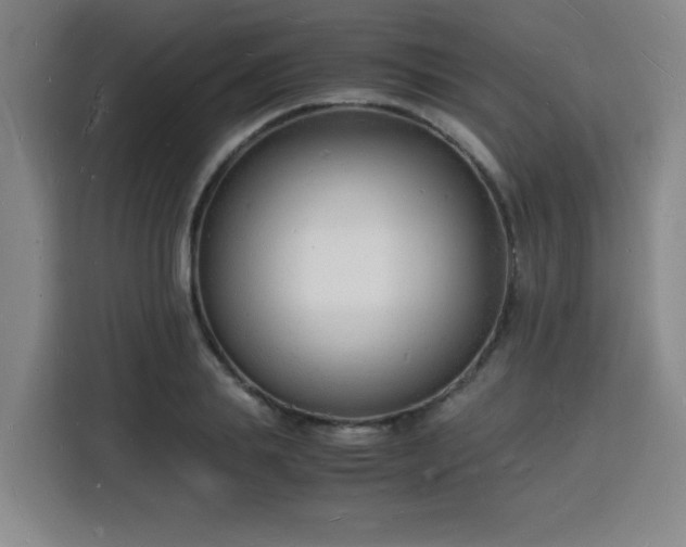 X0000115840839200911201551