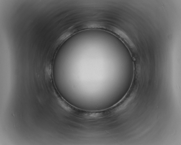 X0000115840841200911201551