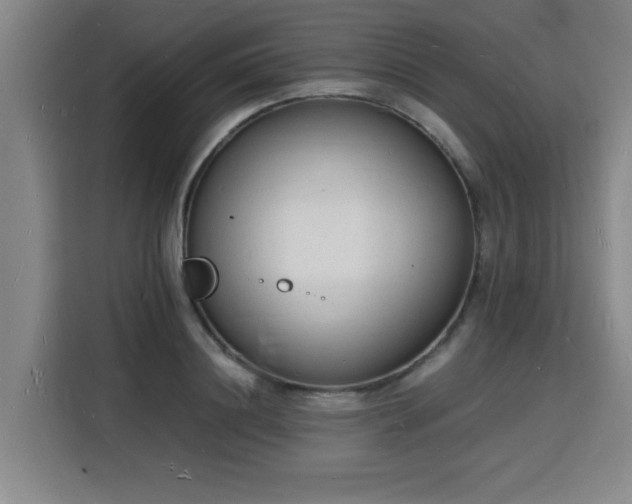 X0000115840844200911201551