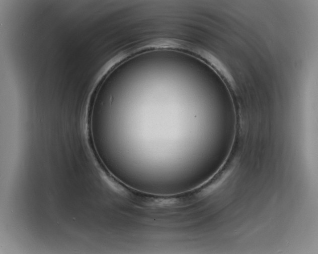 X0000115840845200911201551