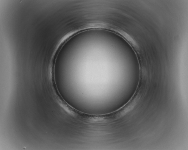X0000115840846200911201551