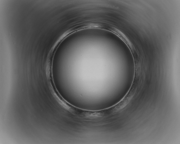 X0000115840851200911201551