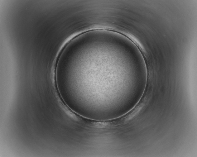 X0000115840854200911201551