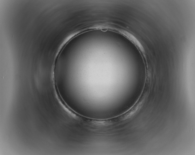 X0000115840855200911201551