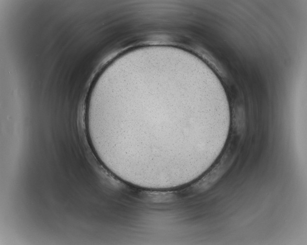 X0000115840856200911201551