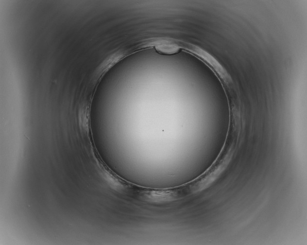 X0000115840857200911201551