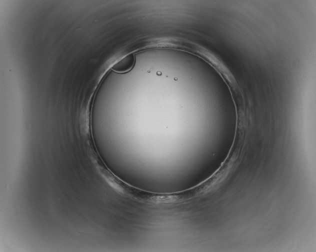 X0000115840858200911201551