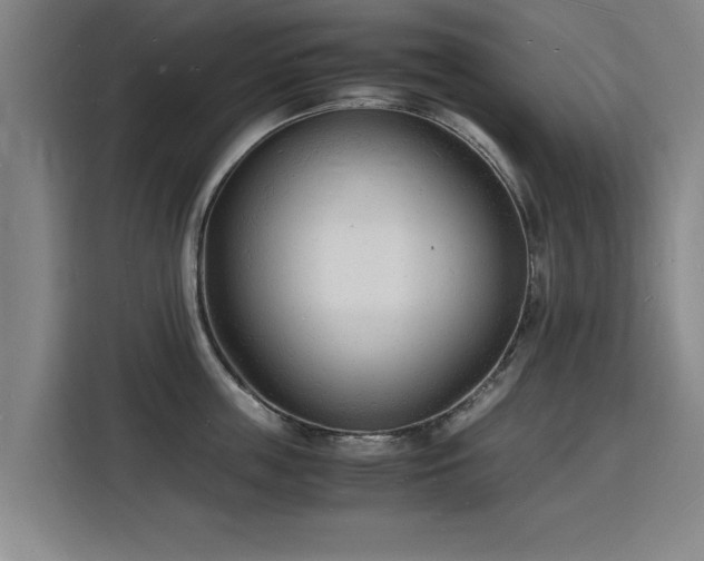 X0000115840859200911201551