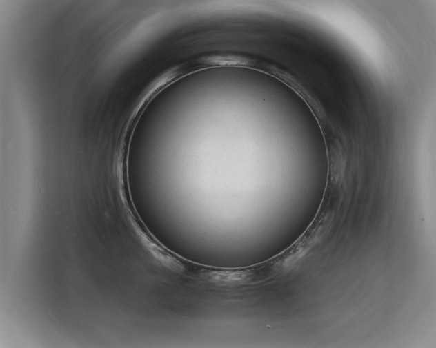 X0000115840861200911201551