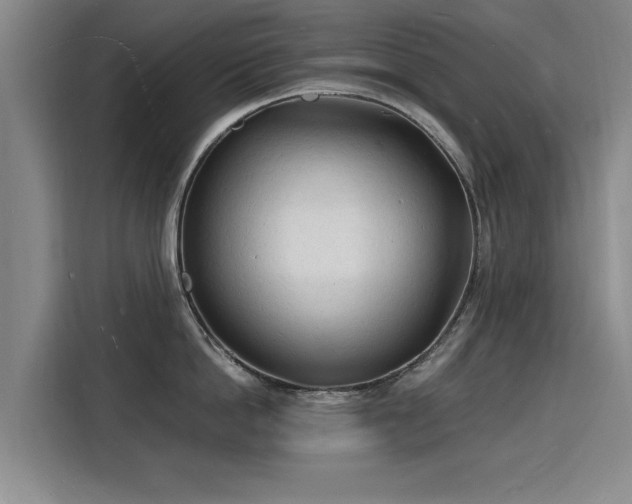 X0000115840862200911201551