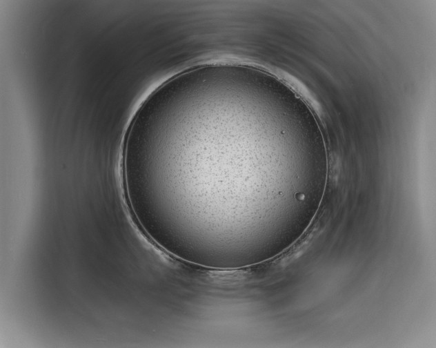 X0000115840863200911201551