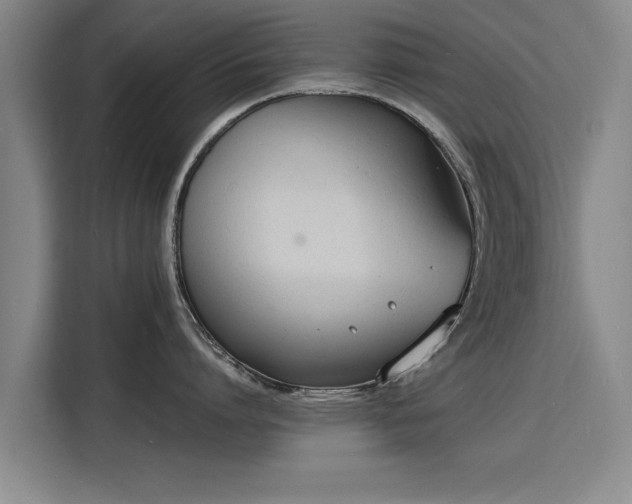 X0000115840864200911201551
