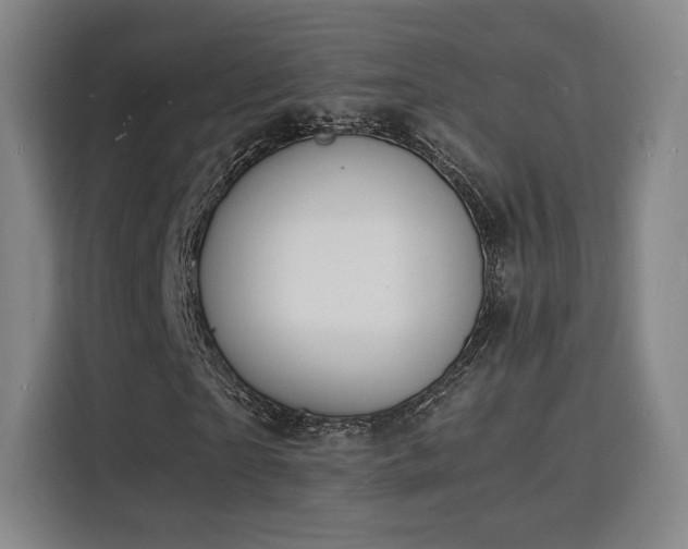 X0000115840865200911201551