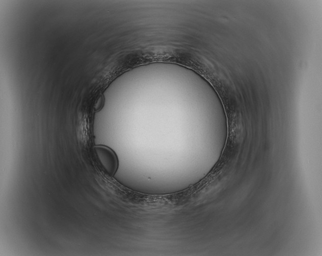 X0000115840866200911201551