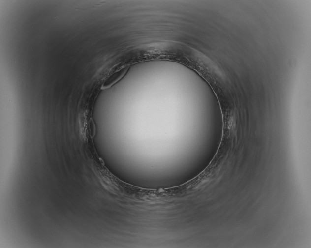 X0000115840868200911201551
