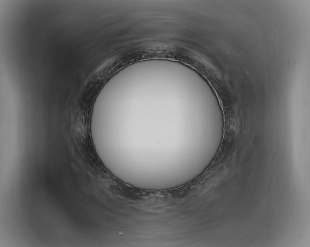 X0000115840869200911201551