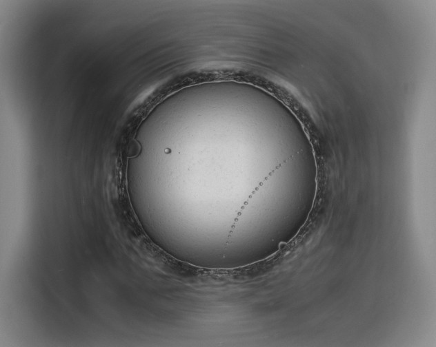 X0000115840871200911201551