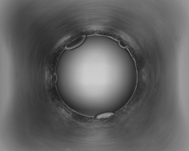 X0000115840872200911201551
