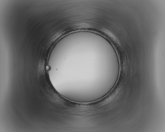 X0000115840873200911201551