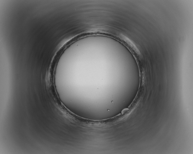 X0000115840876200911201550