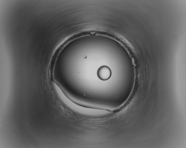 X0000115840877200911201550