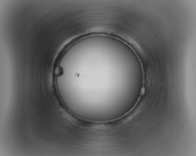 X0000115840880200911201550