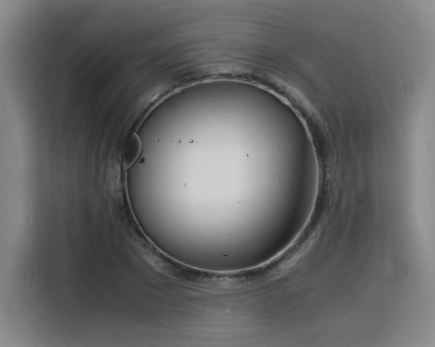 X0000115840881200911201550