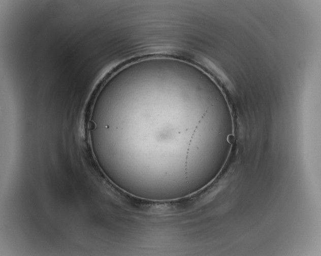 X0000115840883200911201550