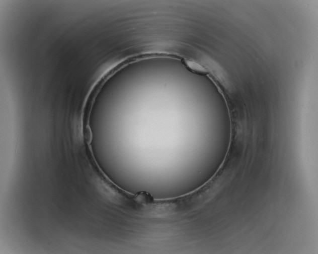 X0000115840884200911201550