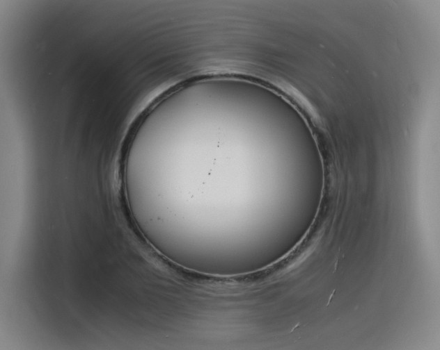 X0000115840885200911201550
