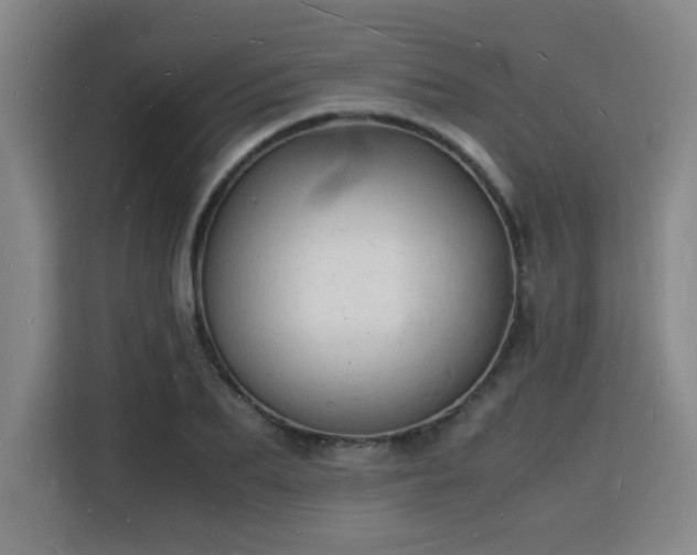 X0000115840887200911201550