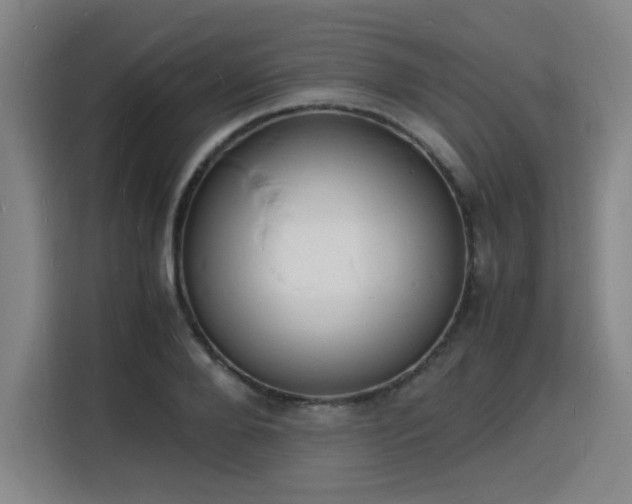 X0000115840888200911201550