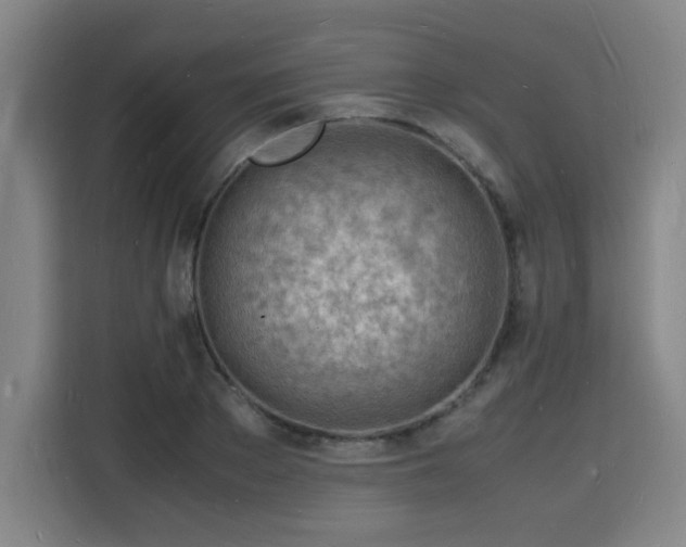 X0000115840889200911201550