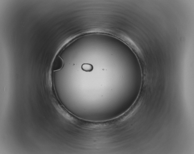 X0000115840892200911201550