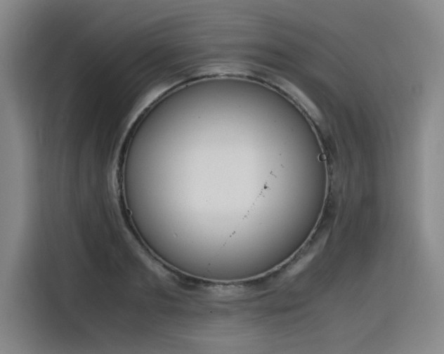 X0000115840893200911201550