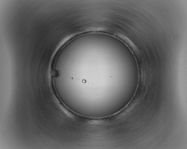 X0000115840894200911201550