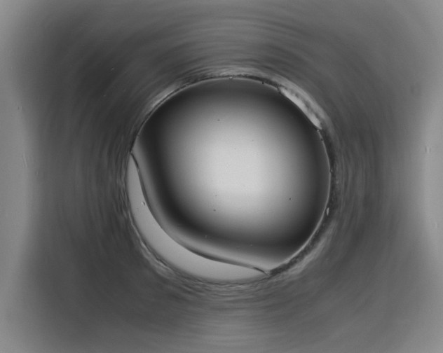 X0000115840897200911201550
