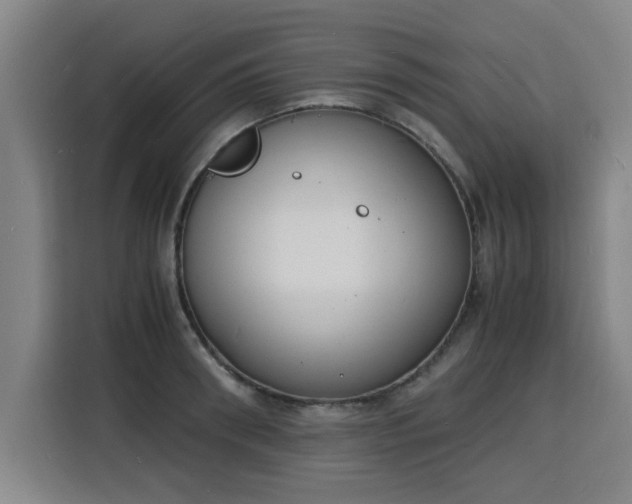 X0000115840898200911201550
