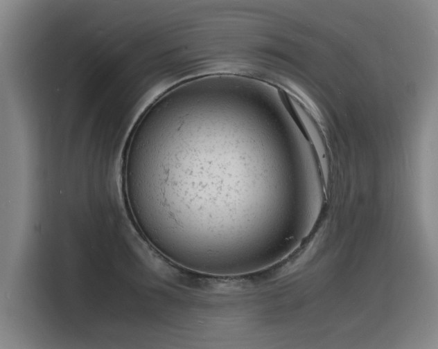 X0000115840899200911201550