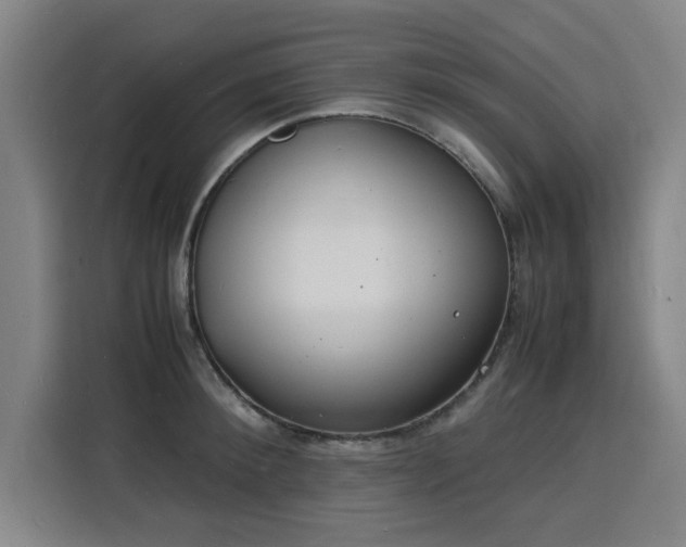 X0000115840900200911201550
